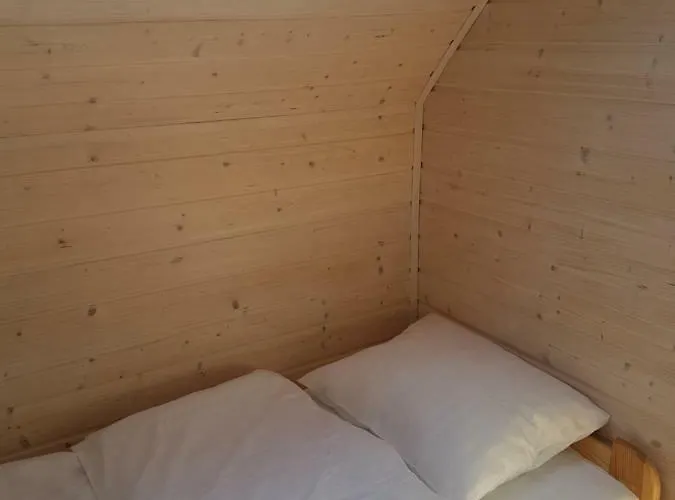 Alga 사르비노보